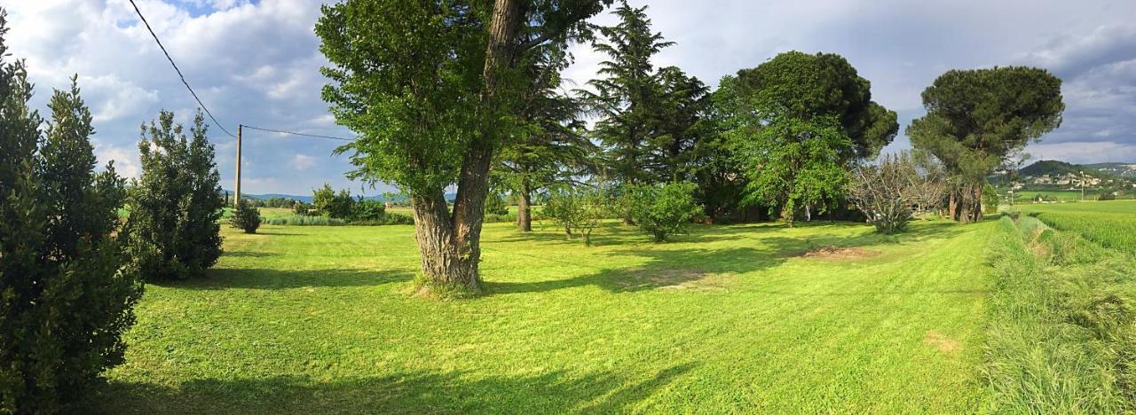 Le Mas Des Abeilles - Chambres d'hôtes La Bégude-de-Mazenc Extérieur photo