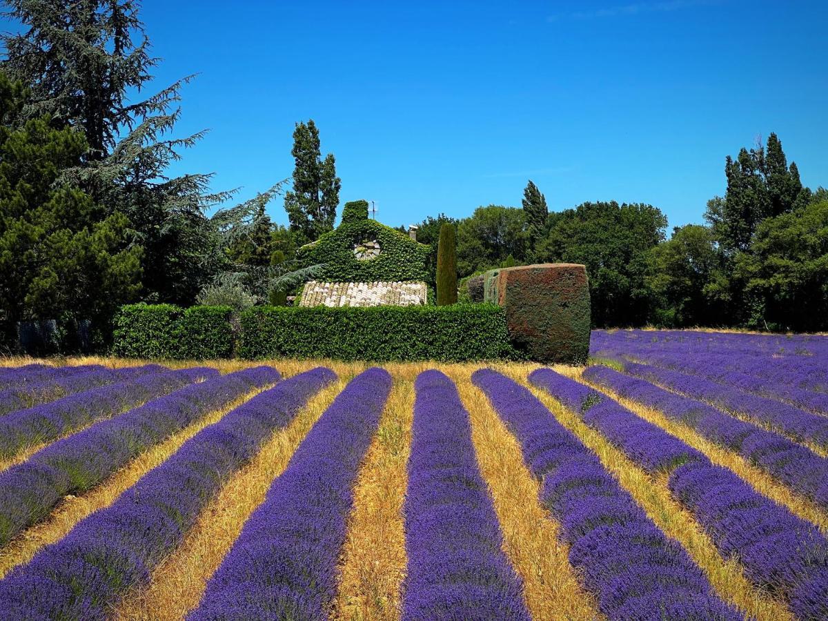 Le Mas Des Abeilles - Chambres d'hôtes La Bégude-de-Mazenc Extérieur photo